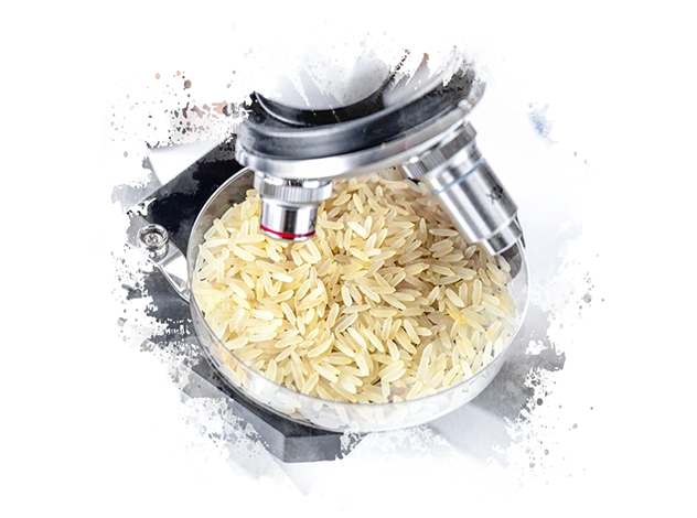 In-House Quality Lab