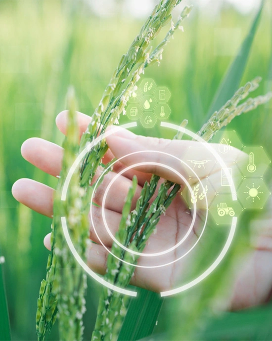 Safety & Hygiene Protocols – Food Safety First!