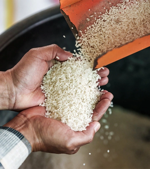 Agriculture Professional Leader