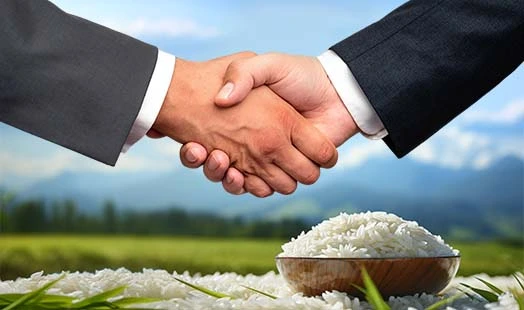 We Build Global Connections through Quality Rice