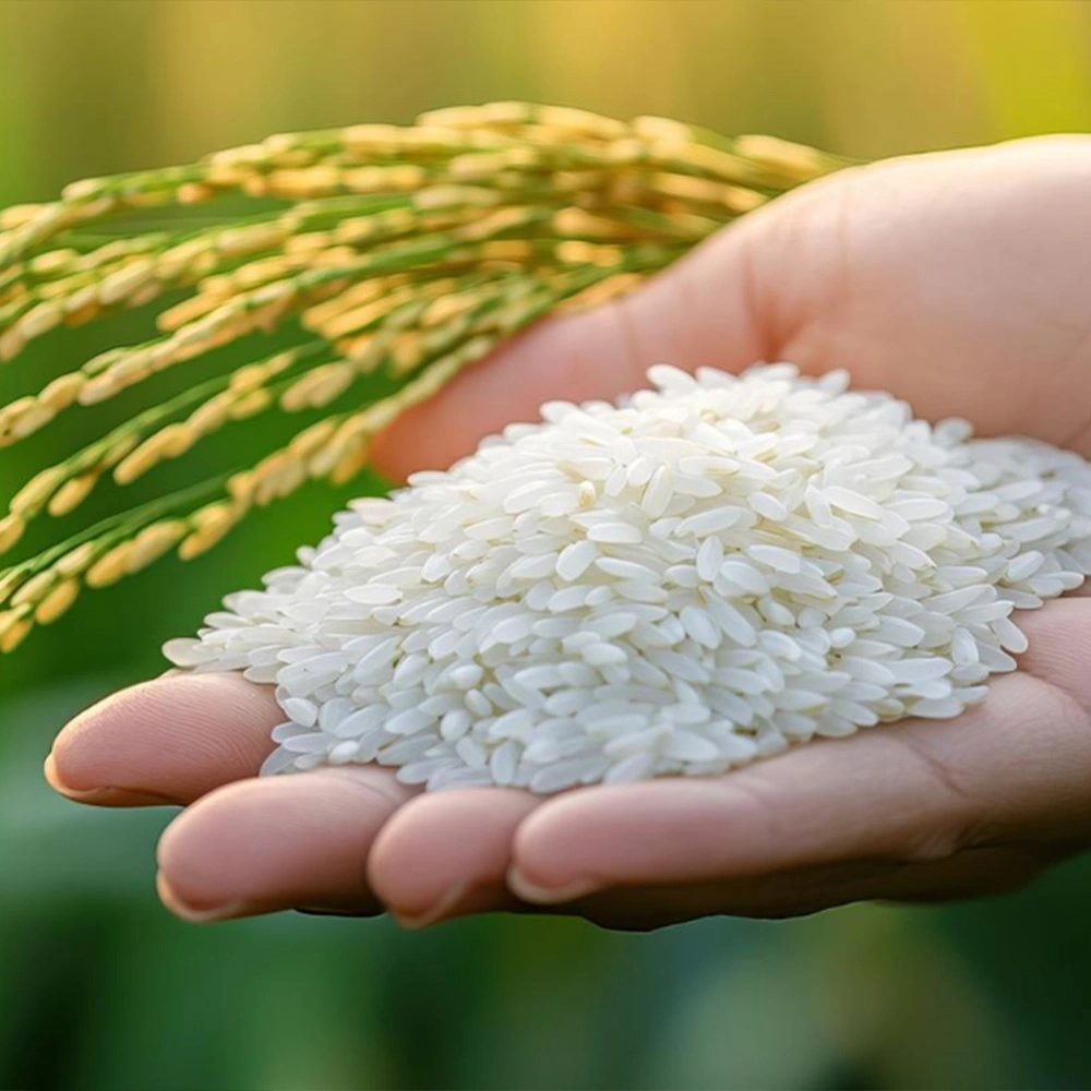Certified pesticide-free rice options